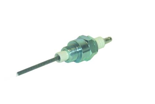 Lodge IEG 14 electrode 530 mm long with threaded brass connection, stainless steel rod and hexagonal nut